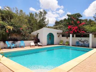 El Sueño Finca - eco finca with pool near beaches - Vejer de la Frontera - 1