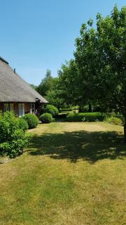 Blaue Grootdoor - Schwanewede - 5