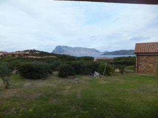 Case Vacanza Cala Paradiso - San Teodoro - 7