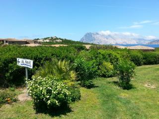 Case Vacanza Cala Paradiso - San Teodoro - 6