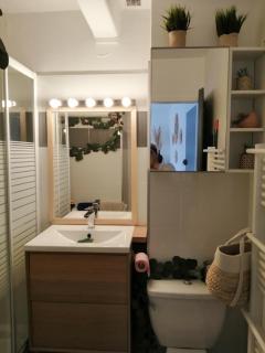 JOLIE APPARTEMENT A LOUER DANS LA PINEDE A 5MN A PIED DE LA PLAGE - 1