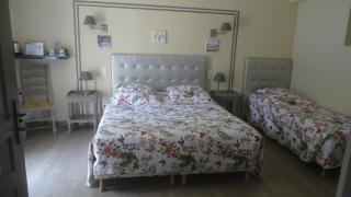 Logis Hotel des Granges - Arles - 1