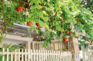 Loop Homestay - Thương Xà (2) - 5