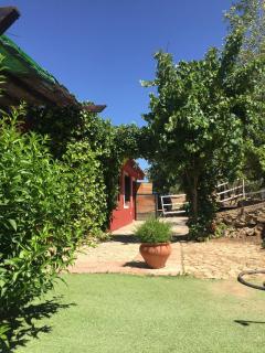 CASA RURAL PONCE DE LEÓN - Ronda - 3