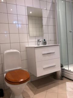 Koselig leilighet i Austbygde med Wifi - Bakko - 5