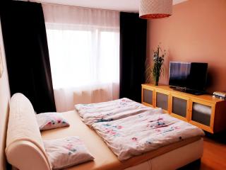 Apartmán Terminál, self check-in 24 h, free parking - 1