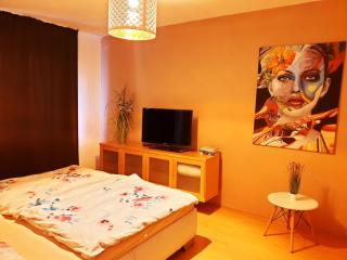 Apartmán Terminál, self check-in 24 h, free parking - 4