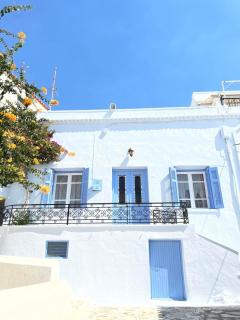 Tinos Bougainvillea - 9