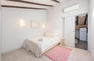 Bohemian 2bedroom attic in Lavapies - Madrid - 4