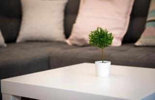 Apartman NOA EXCLUSIVE - Trebinje - 3