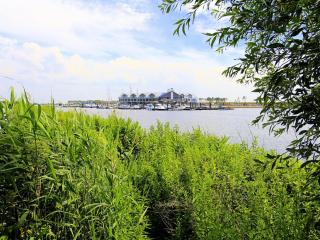 Villa in Netherlands with Waterfront Views - Tholen - 1