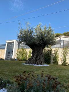 Villa Palladino Rooms - Santo Spirito - 3