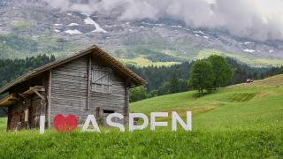 Aspen Alpine Lifestyle Hotel - Grindelwald - 8
