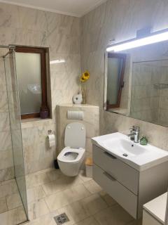 Ultra-Central Apartment - Cluj-Napoca - 7