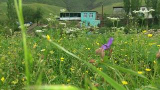 Mountain house - Xınalıq - 0