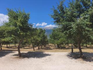 TENUTA IL GUERRIERO - 4