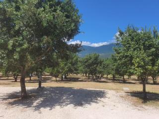 TENUTA IL GUERRIERO - Capestrano - 3