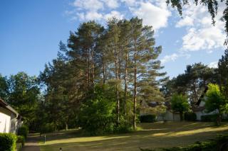 Ferienhaus Natur Pur, Lenz, Lenzer Höh - Funfseen - 8