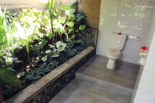 Klub Kokos Bungalows - 4