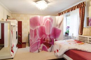 Flair Ferienwohnung Orchidee - Stockach - 1