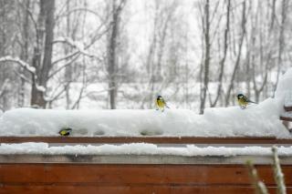 Apartman_Jarmila - 8