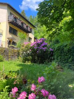 Rivendell I3 - Montjoie - 9