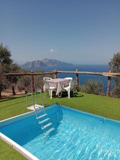Farm seaview on Capri - Termini - 8