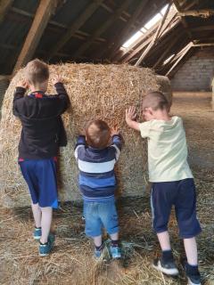 Agroturystyka Nowe Polaszki 10 - 6