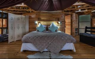 The Lantern @ Fantasia - 6