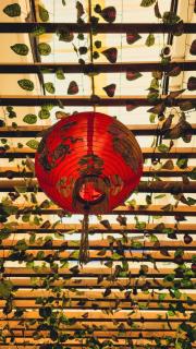 Hotel Beijing Cartagena - 9