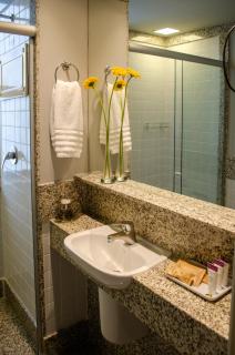 Royal Boutique Savassi Hotel - Belo Horizonte - 9