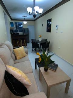 Acogedor Apartamento - Santiago de los Caballeros - 0