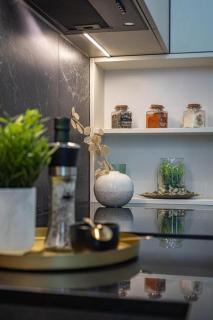 Wiszące Ogrody - Apartament Chmiel 12 - Łódź - 1