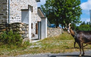La Ferme de Beauregard SPA -LANARCE 07660 - jacuzzi et sauna - Lanarce - 1