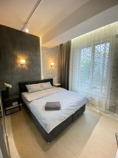 Large Three-Bedroom Ultracentral Apartment - Chişinău - 0