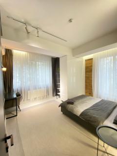 Large Three-Bedroom Ultracentral Apartment - Chişinău - 5