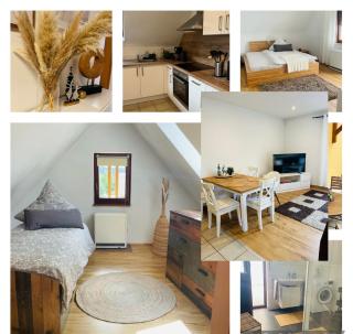 Maisonette Wohnung Sophie mit Balkon und Terrasse - Weikersheim - 2