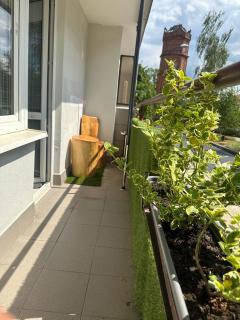 Charming Apartament - 2