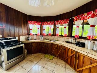 Cabañas del Norte - Fortuna - 4