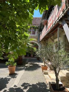 Maison D'hôtes-Maison Castaings - Lucq-de-Béarn - 1