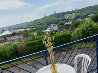 Rouen : Vue panoramique sur la seine avec parking - Rouen - 2