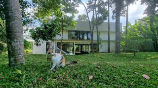 Villa Maxwell - 6