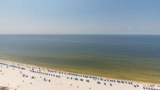 Phoenix Gulf Towers 2202 condo - Gulf Shores - 2