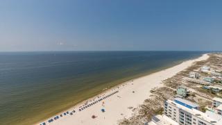 Phoenix Gulf Towers 2202 condo - Gulf Shores - 3