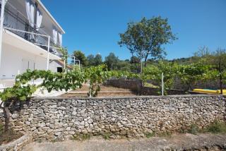 Apartments with parking space Razanj, Rogoznica - 21124 - 4