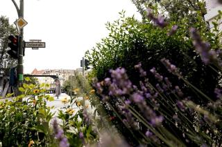 LANG Li by ROCKCHAIR Apartments l SUPERHOST Status l 2 Bedrooms Boxspringbeds in City Center - Cozy Family & Business Flair welcomes you! - Berlino - 4