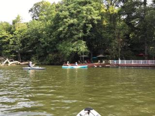 3 Acre Lake Paradise Swimming Pool & Jacuzzi HotTub! - 6