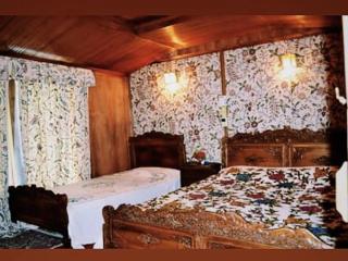 Iram Houseboats - Srinagar - 8