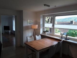 Ferienwohnung Bieniussa 3 - Gemünden - 5