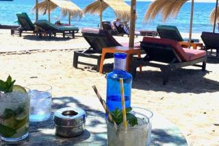 New view Sotogrande Marina - Jungla del Loro - 9